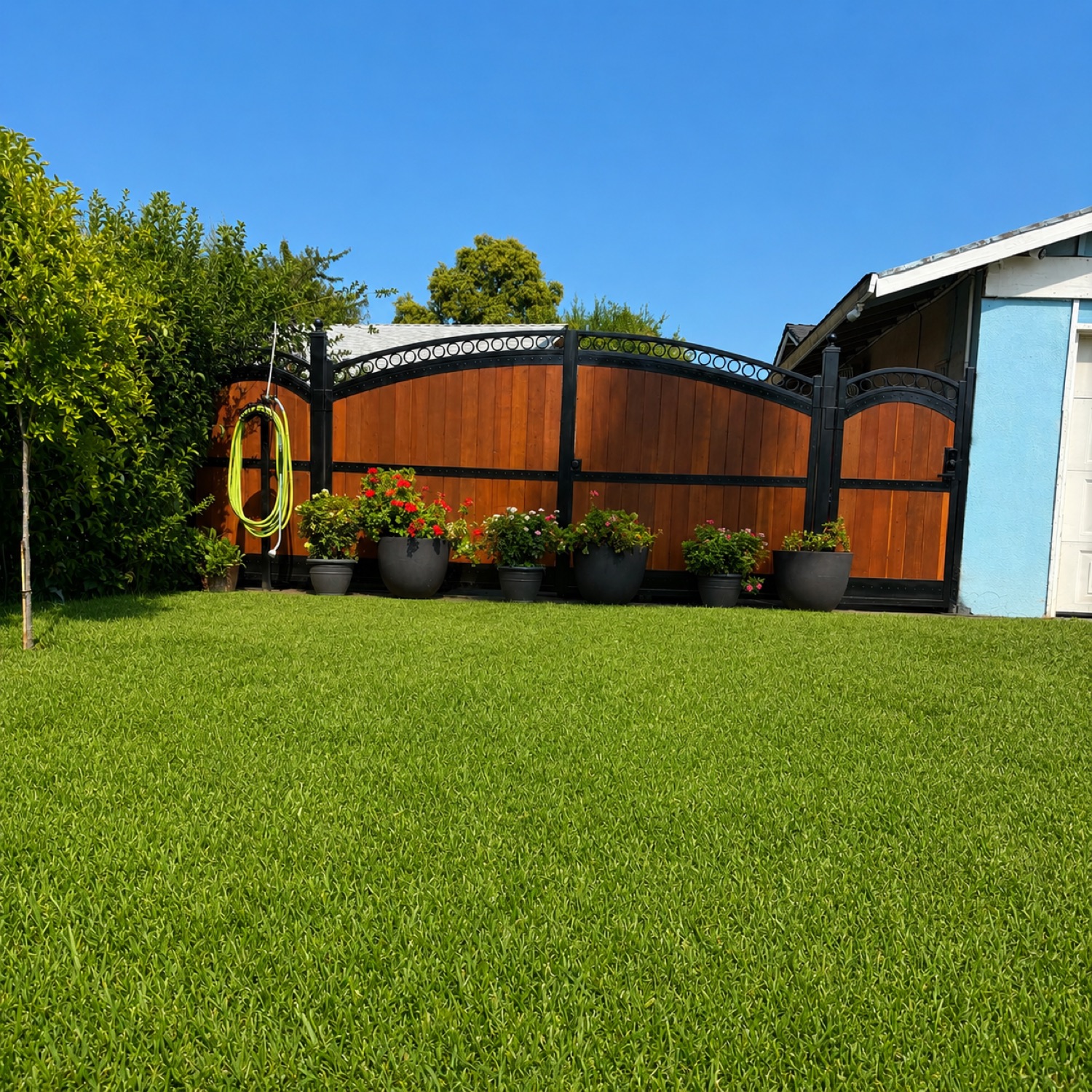 Arched wood and iron gate — Davis